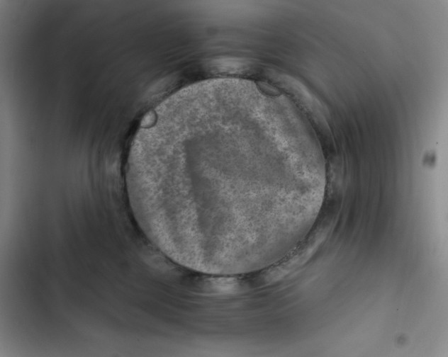 X0000102820377200809151021