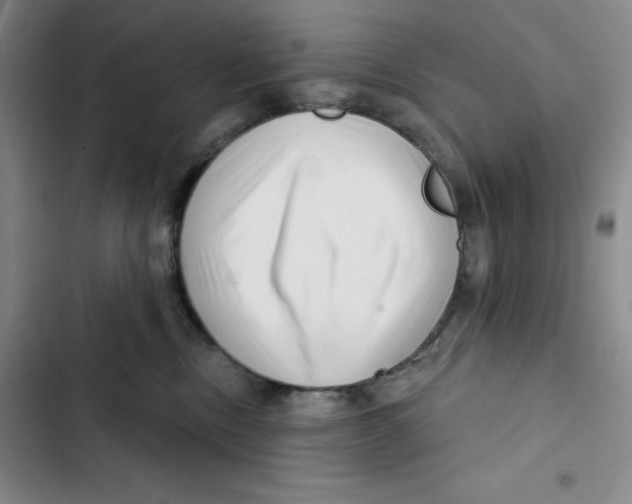 X0000102820378200809151021