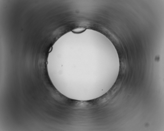 X0000102820379200809151021