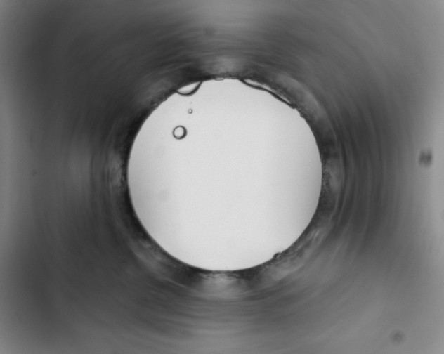 X0000102820380200809151021