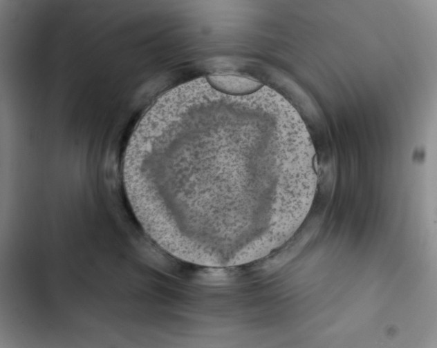 X0000102820381200809151021