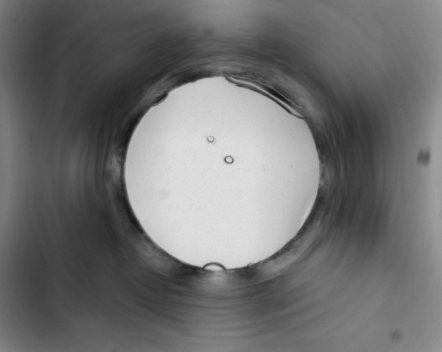 X0000102820382200809151021
