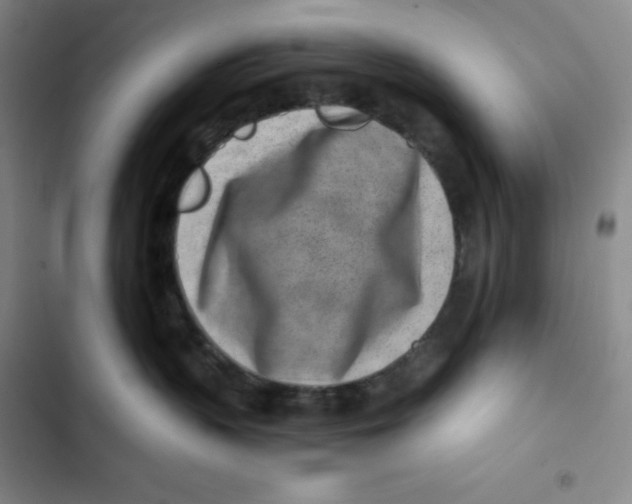 X0000102820383200809151021