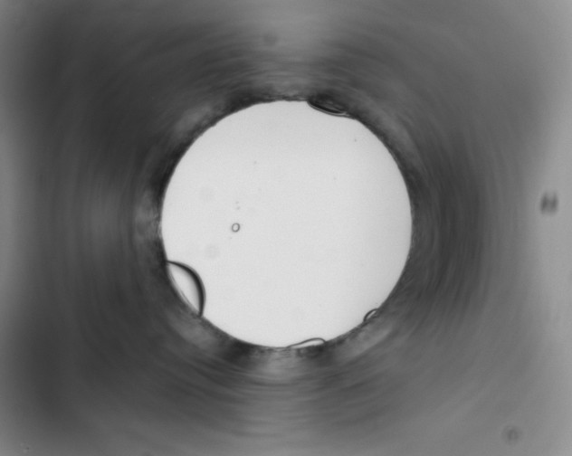 X0000102820384200809151021
