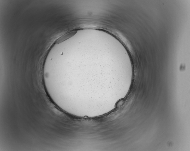 X0000102820385200809151020