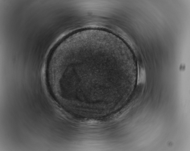 X0000102820387200809151020