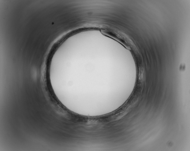 X0000102820388200809151020