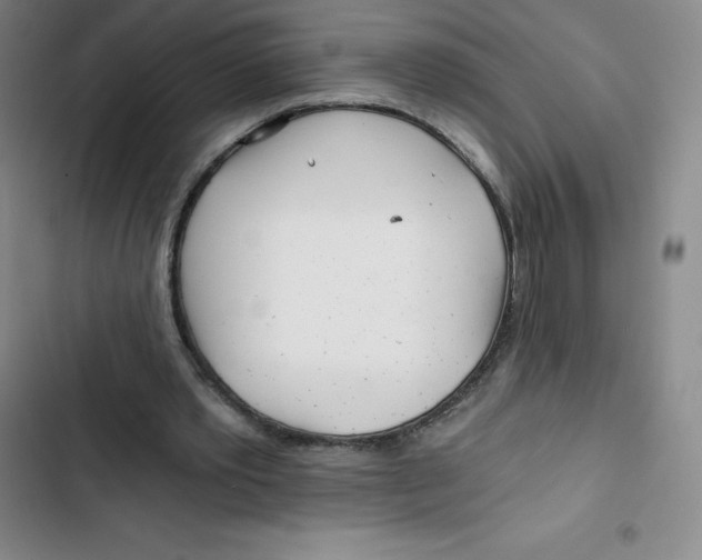 X0000102820389200809151020