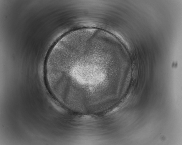 X0000102820390200809151020