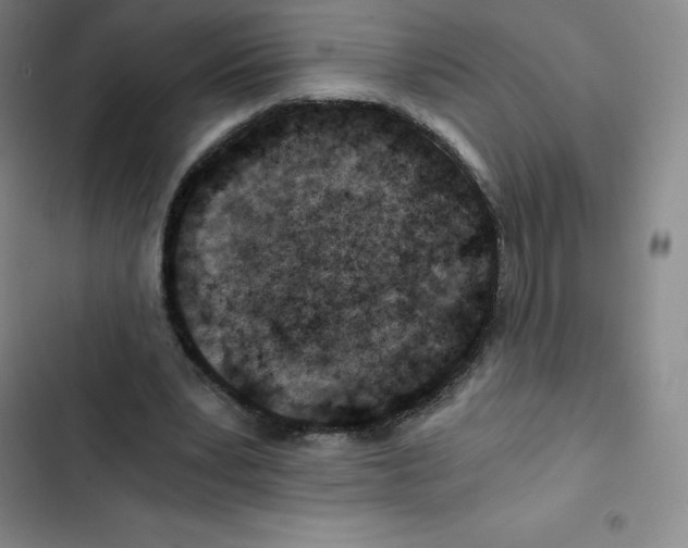 X0000102820391200809151020