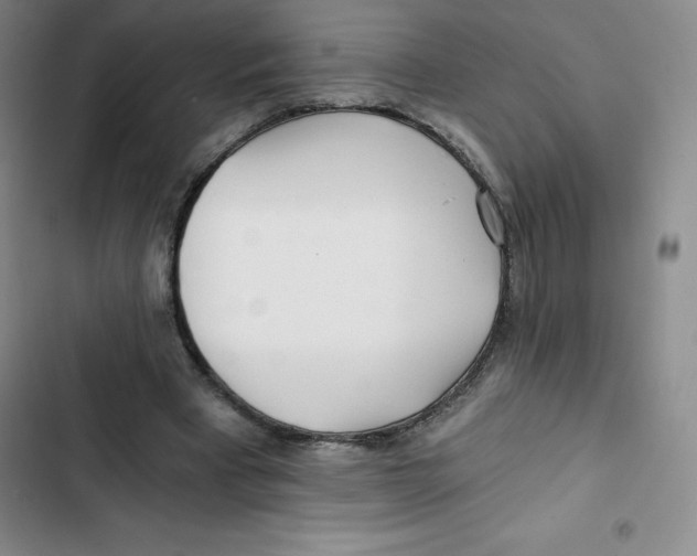 X0000102820393200809151020
