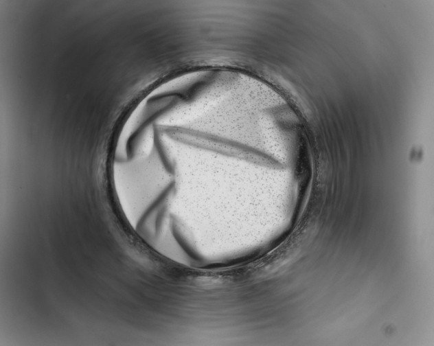 X0000102820394200809151020
