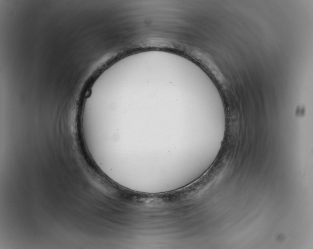 X0000102820395200809151020