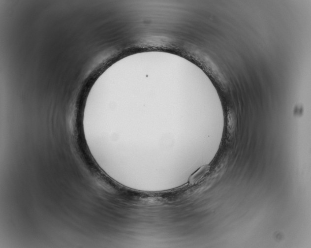 X0000102820396200809151020