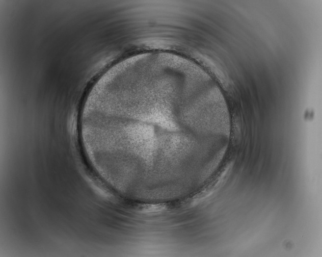 X0000102820398200809151020