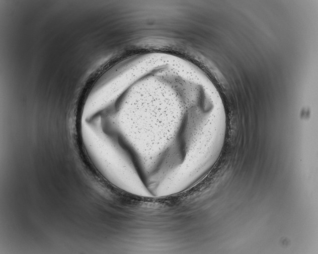 X0000102820399200809151020