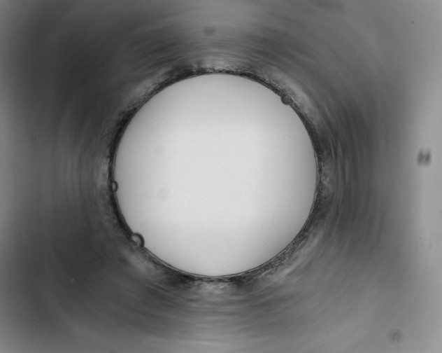 X0000102820401200809151020