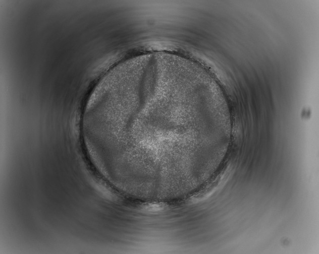 X0000102820402200809151020