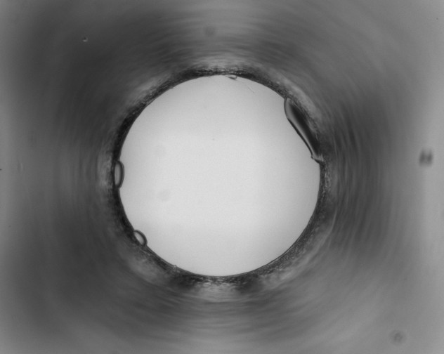 X0000102820403200809151020