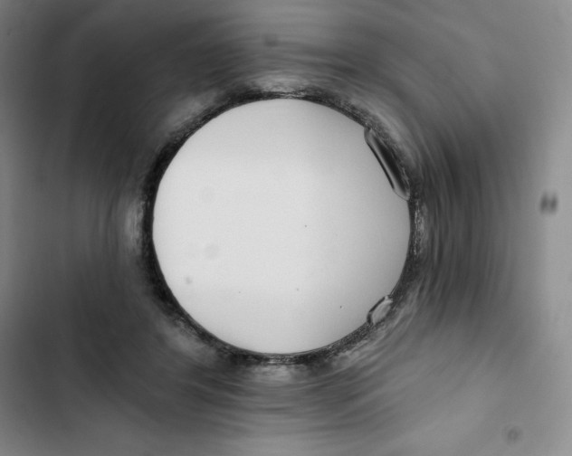 X0000102820404200809151020