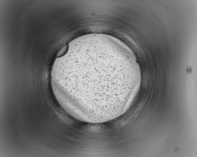 X0000102820405200809151020