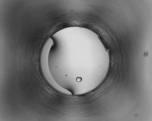 X0000102820409200809151020