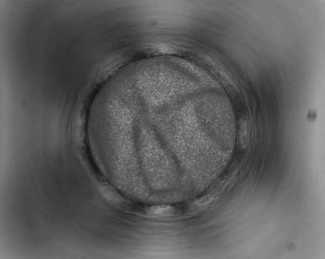 X0000102820410200809151020