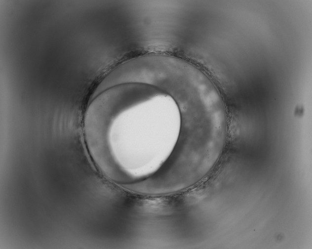 X0000102820411200809151020