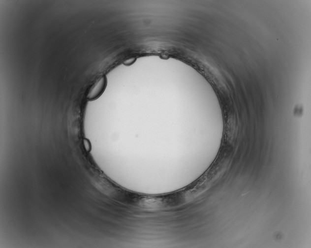 X0000102820413200809151020