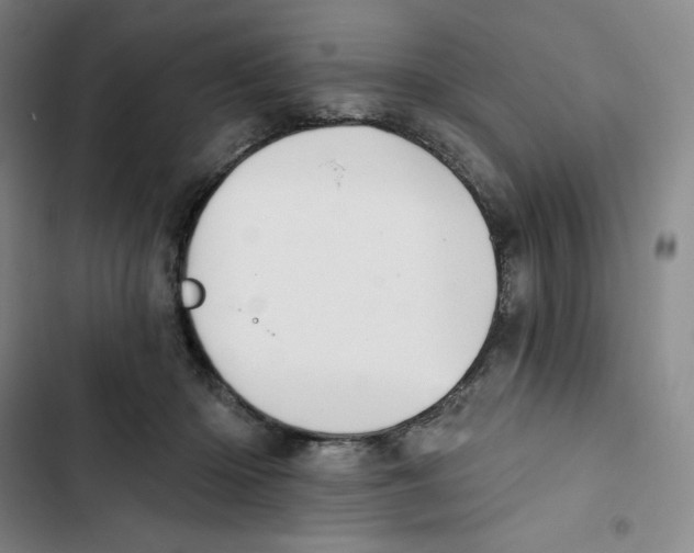 X0000102820414200809151020