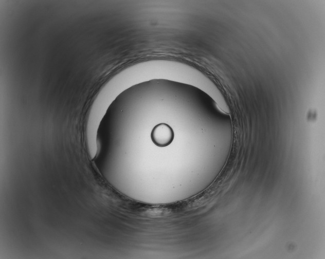 X0000102820415200809151020