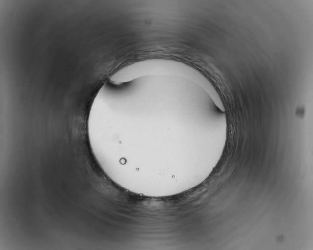 X0000102820419200809151020