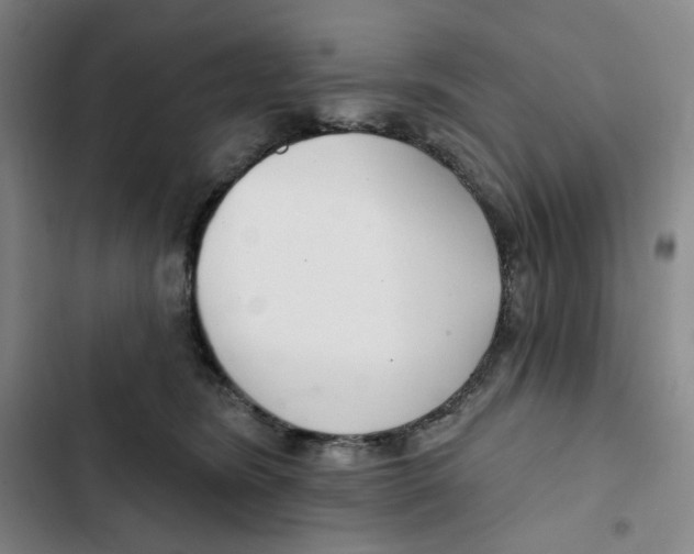 X0000102820420200809151020
