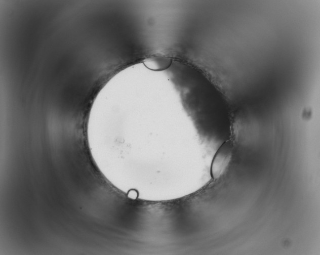 X0000102820423200809151020