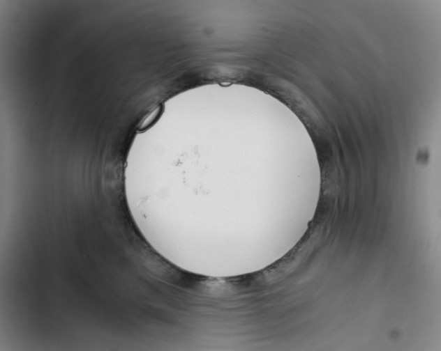 X0000102820425200809151020