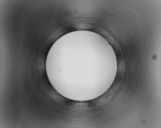 X0000102820426200809151020