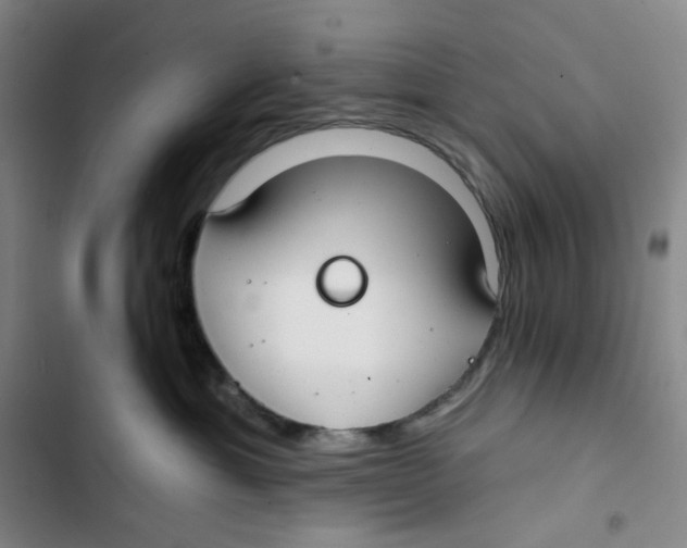 X0000102820429200809151020
