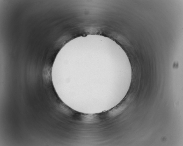 X0000102820432200809151019