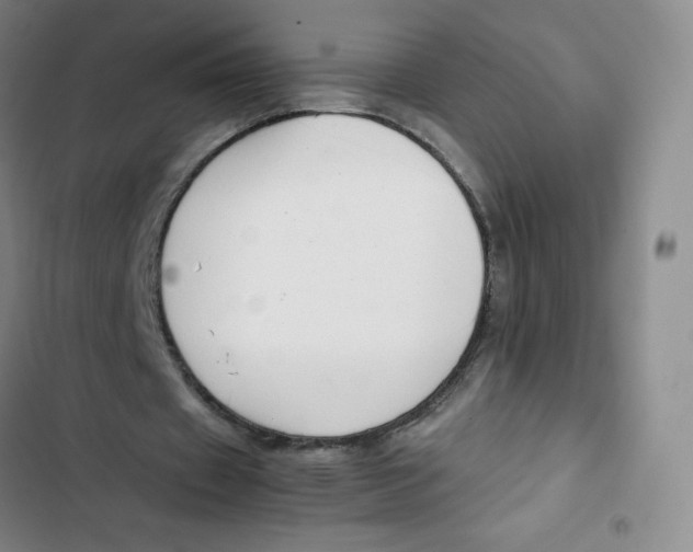 X0000102820433200809151019