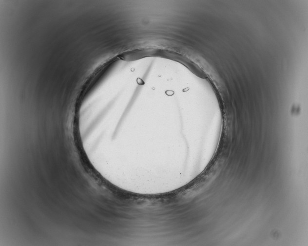 X0000102820434200809151019