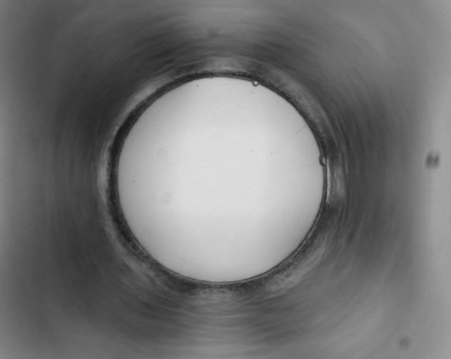 X0000102820435200809151019