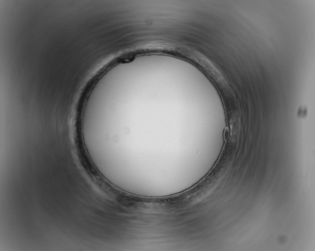 X0000102820436200809151019