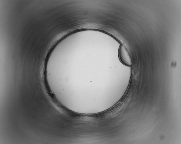 X0000102820437200809151019