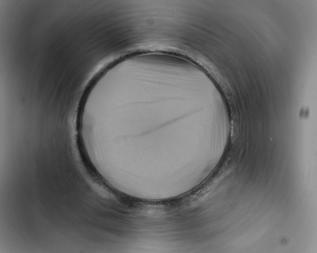 X0000102820438200809151019
