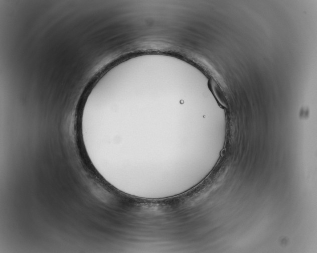 X0000102820439200809151019