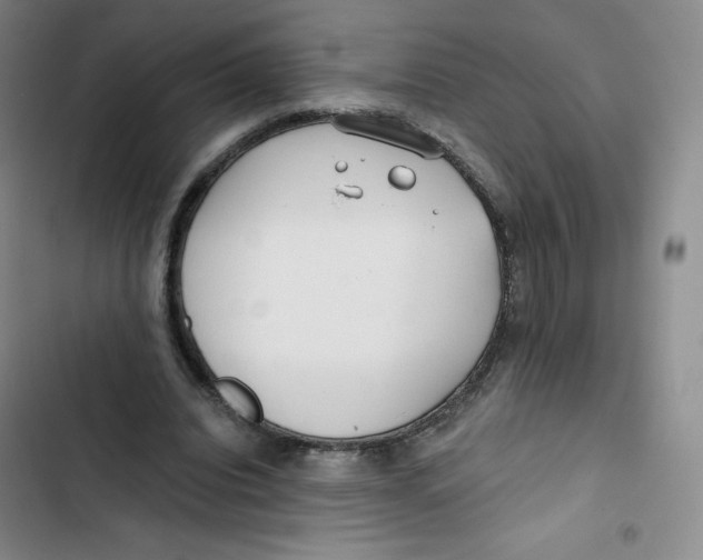 X0000102820440200809151019