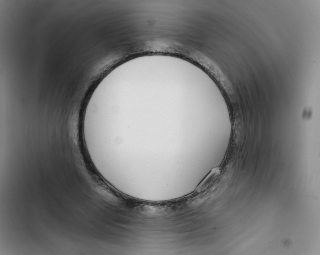 X0000102820442200809151019