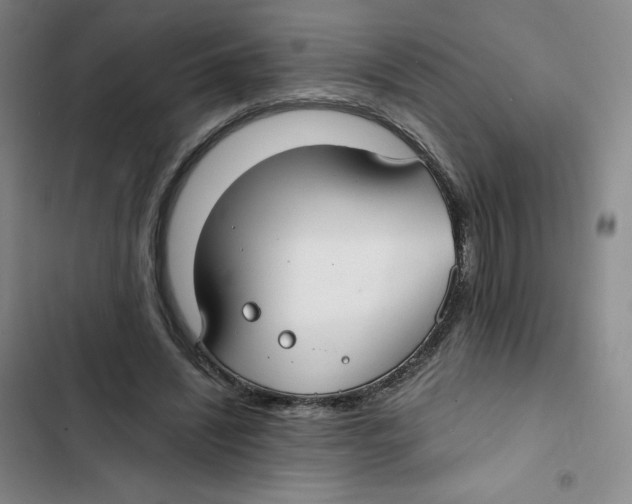 X0000102820444200809151019