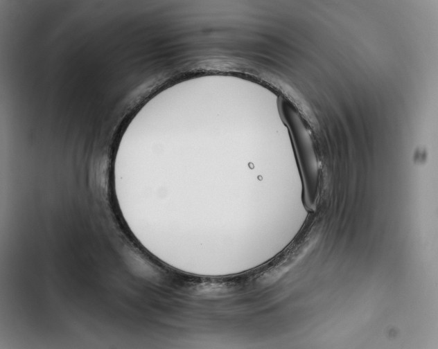 X0000102820445200809151019