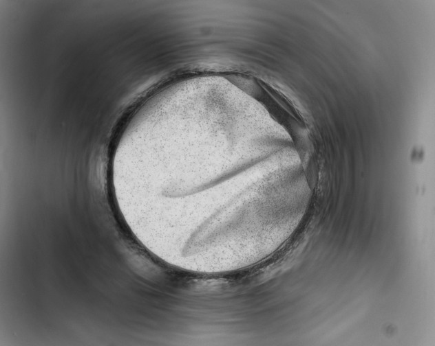 X0000102820446200809151019